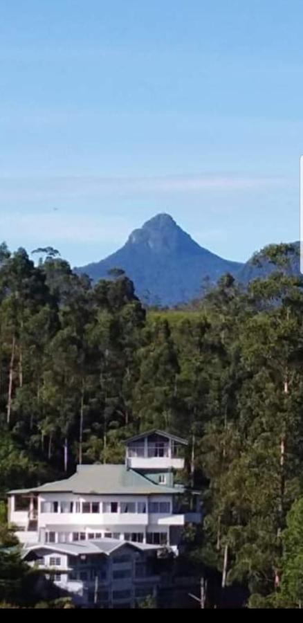 茶山庄洋房度假屋 哈顿 外观 照片